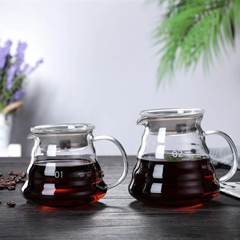 350/600/800ml Hand Brew Coffee - Coffee Equipment For Home recensione e prezzo