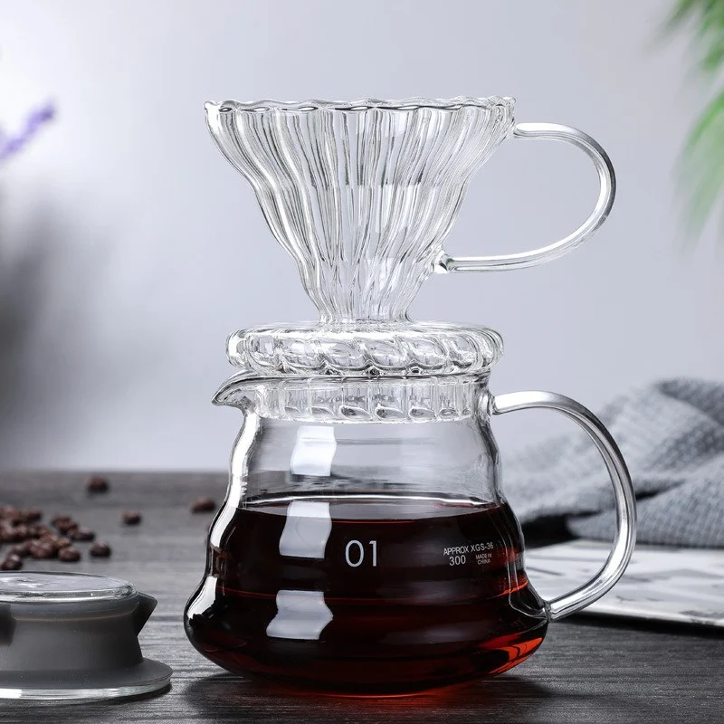 350/600/800ml Hand Brew Coffee - Coffee Equipment For Home recensione e prezzo
